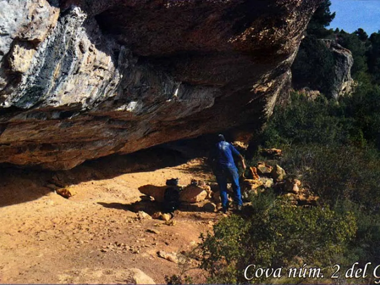 Fotografia de GORI, COVA Nº2 DEL