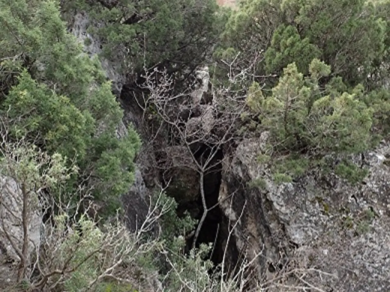 Photograph of ROQUES GRANS, ESQUERDES DE LES