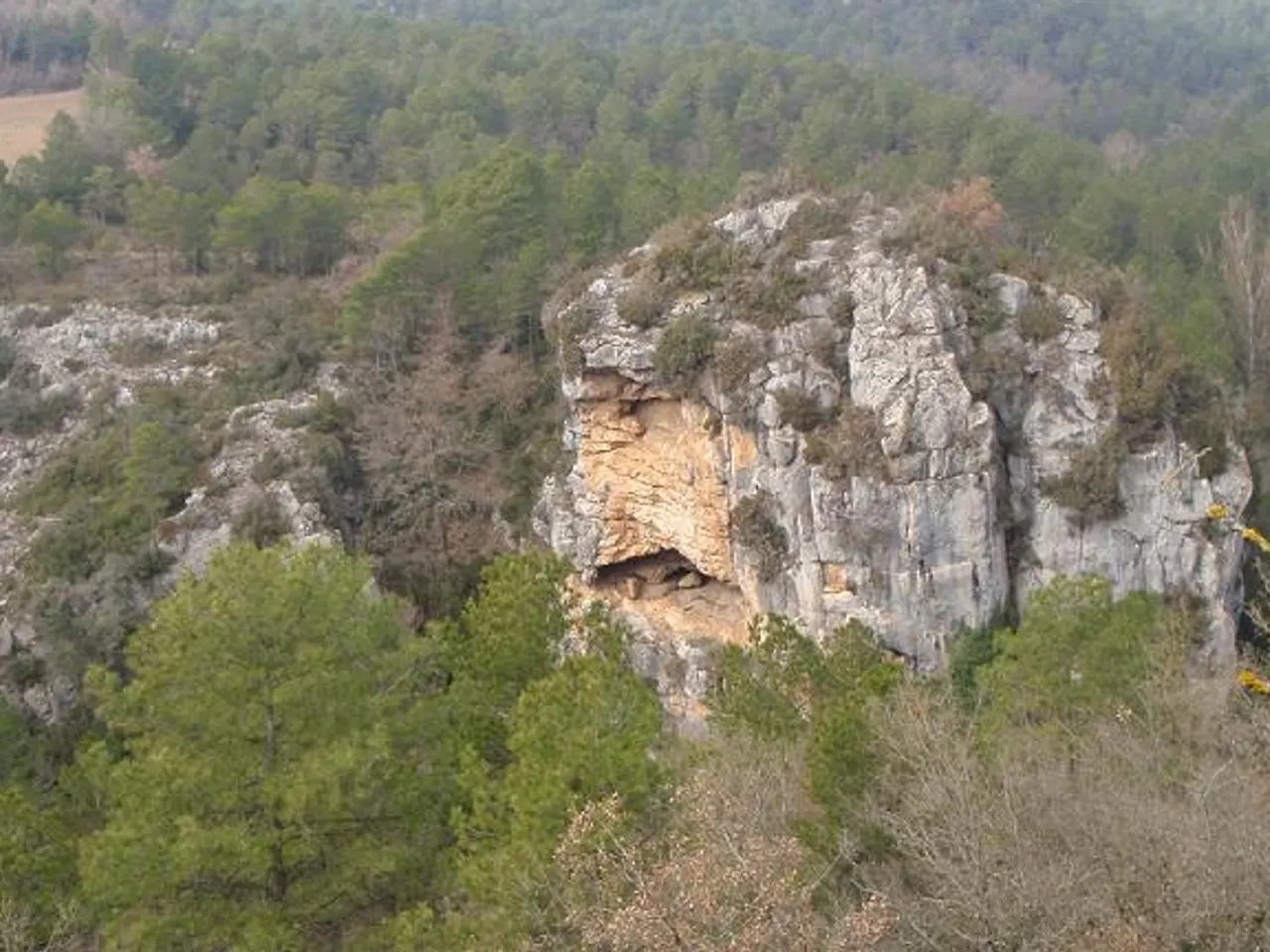 Fotografia de PENYA DEL DONZELL, BALMA DE LA