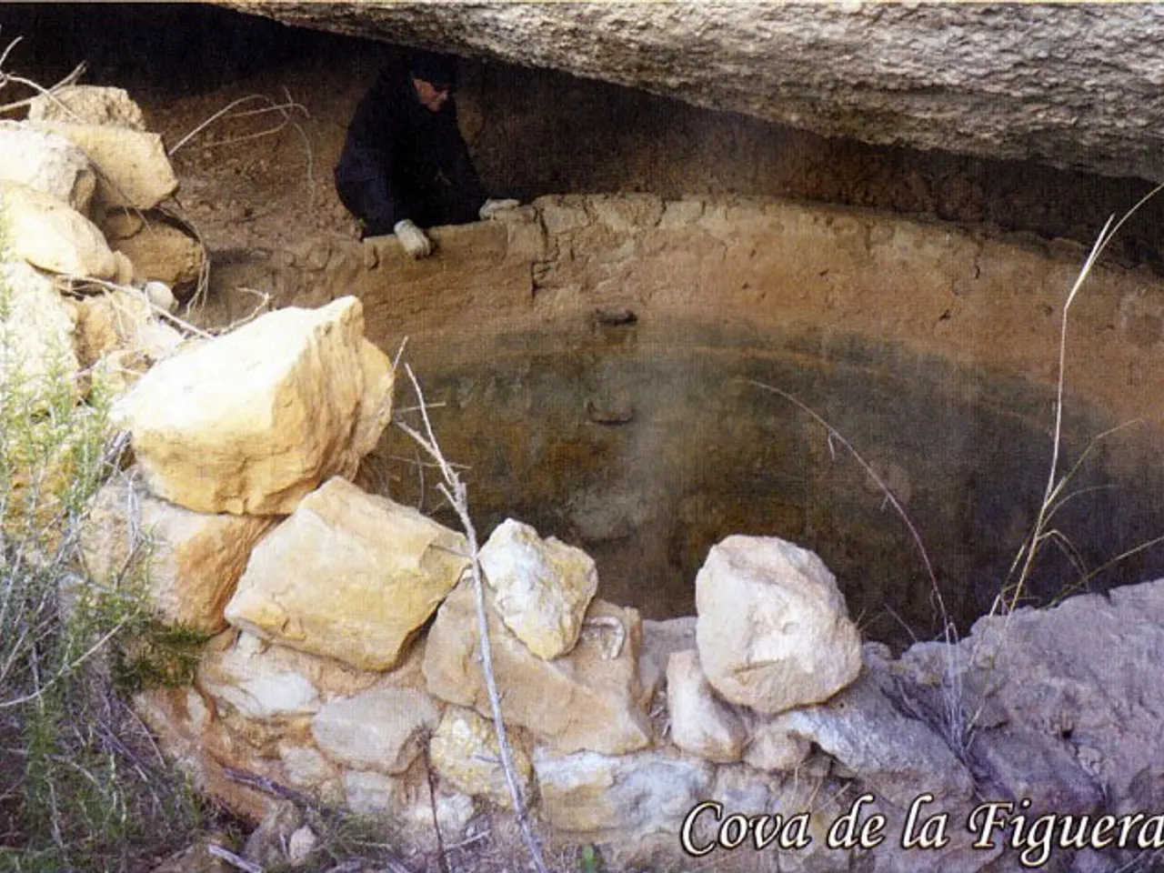 Fotografía de FIGUERA ROJA, COVA DE LA