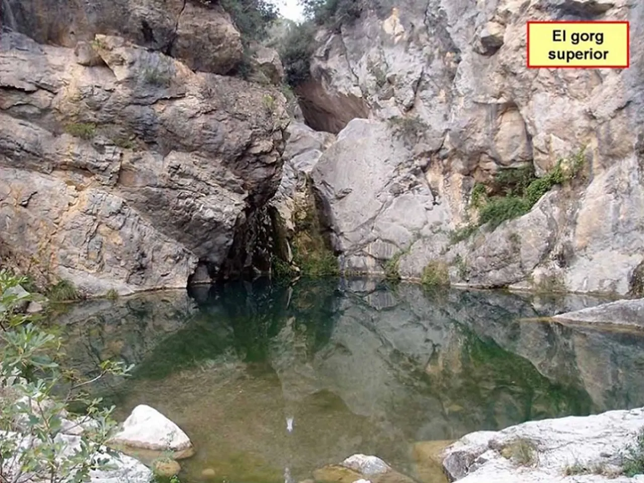 Photographie de GORGS DEL BORRÓ, COVA DELS