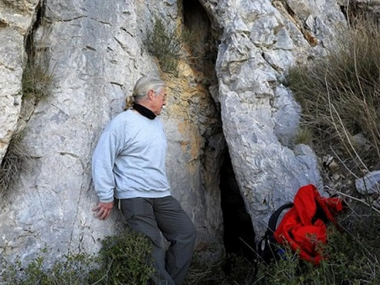 Fotografia de OLIVAR D'EN MARGALL, CAU DE L'