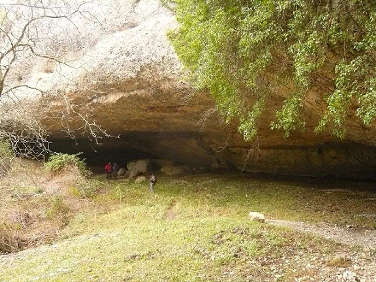 Fotografia de SORONELLES, COVA DEL