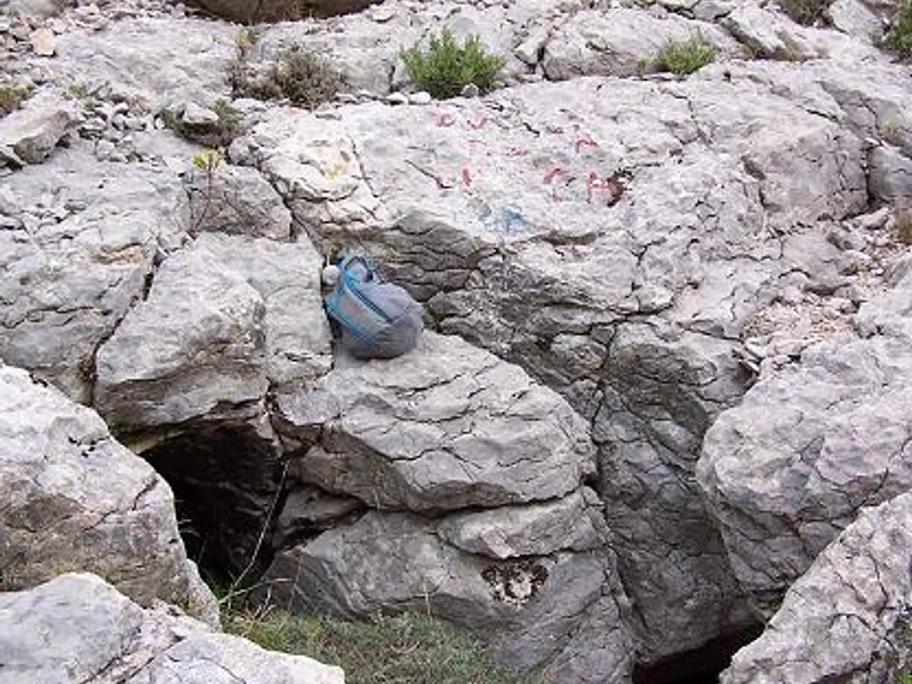 Fotografía de MOSCA,  AVENC DE LA