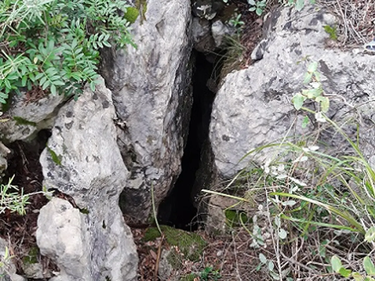 Photographie de SERRA DEL MAS, COVA SM-18 DE LA