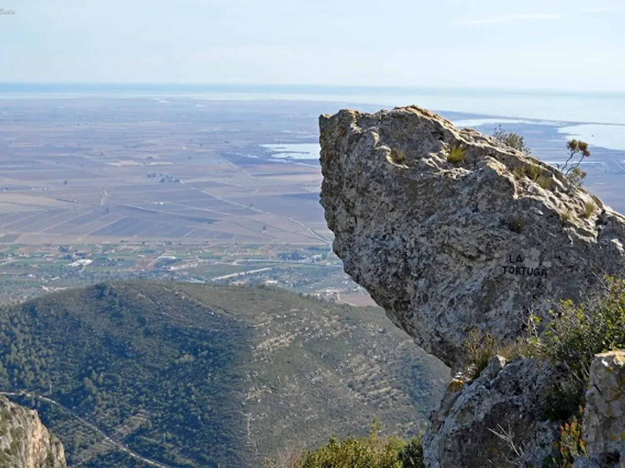 Photograph of TORTUGA, COVA DE LA