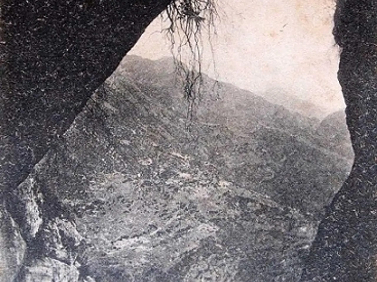 Photographie de MOLTÓ, COVA DEL