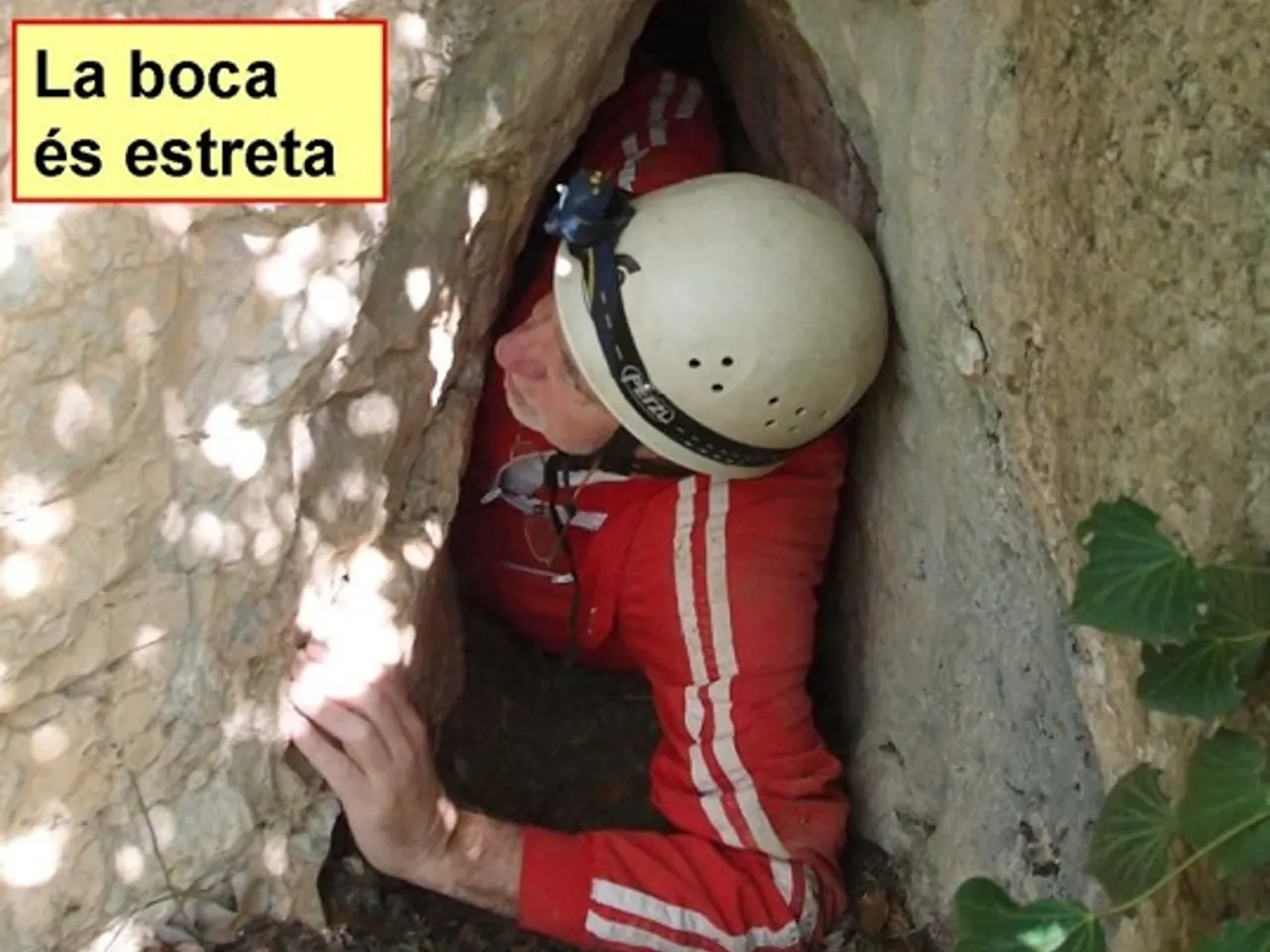 Fotografia de ROQUEROLS, COVA DE