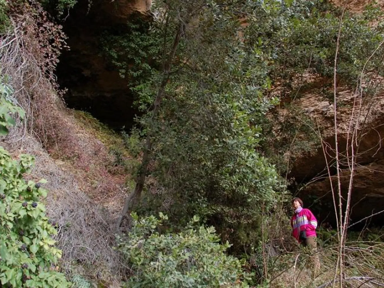 Photograph of FONT DEL BEGALOT, BALMA DE LA
