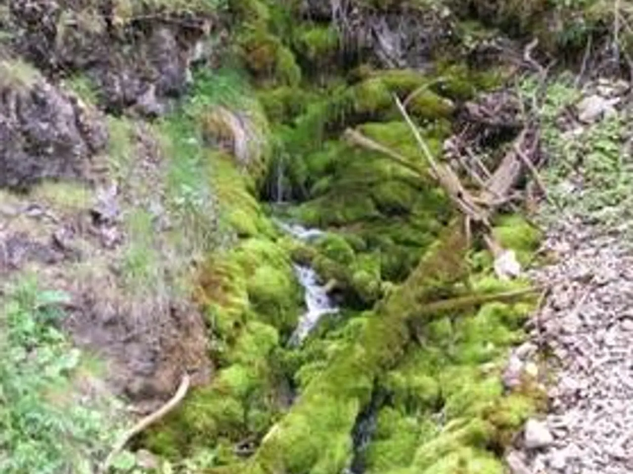 Fotografía de RIU DE MOLA, FEUS DEL