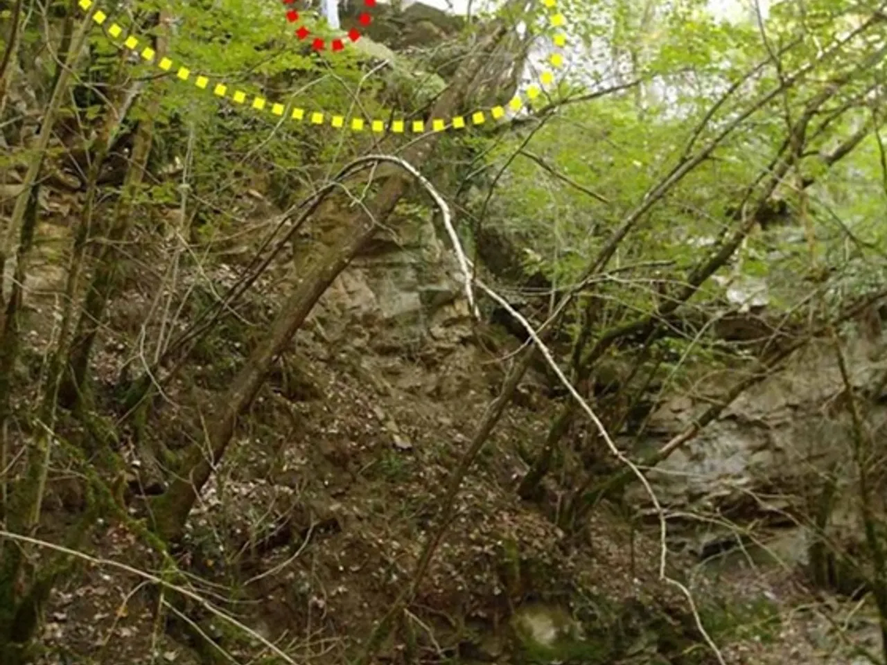 Photographie de ENCANTATS DE LA MASSANELLA, COVA DELS