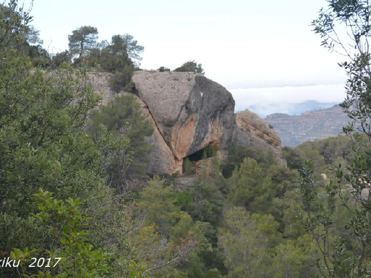 Fotografia de NONALLA, COVA
