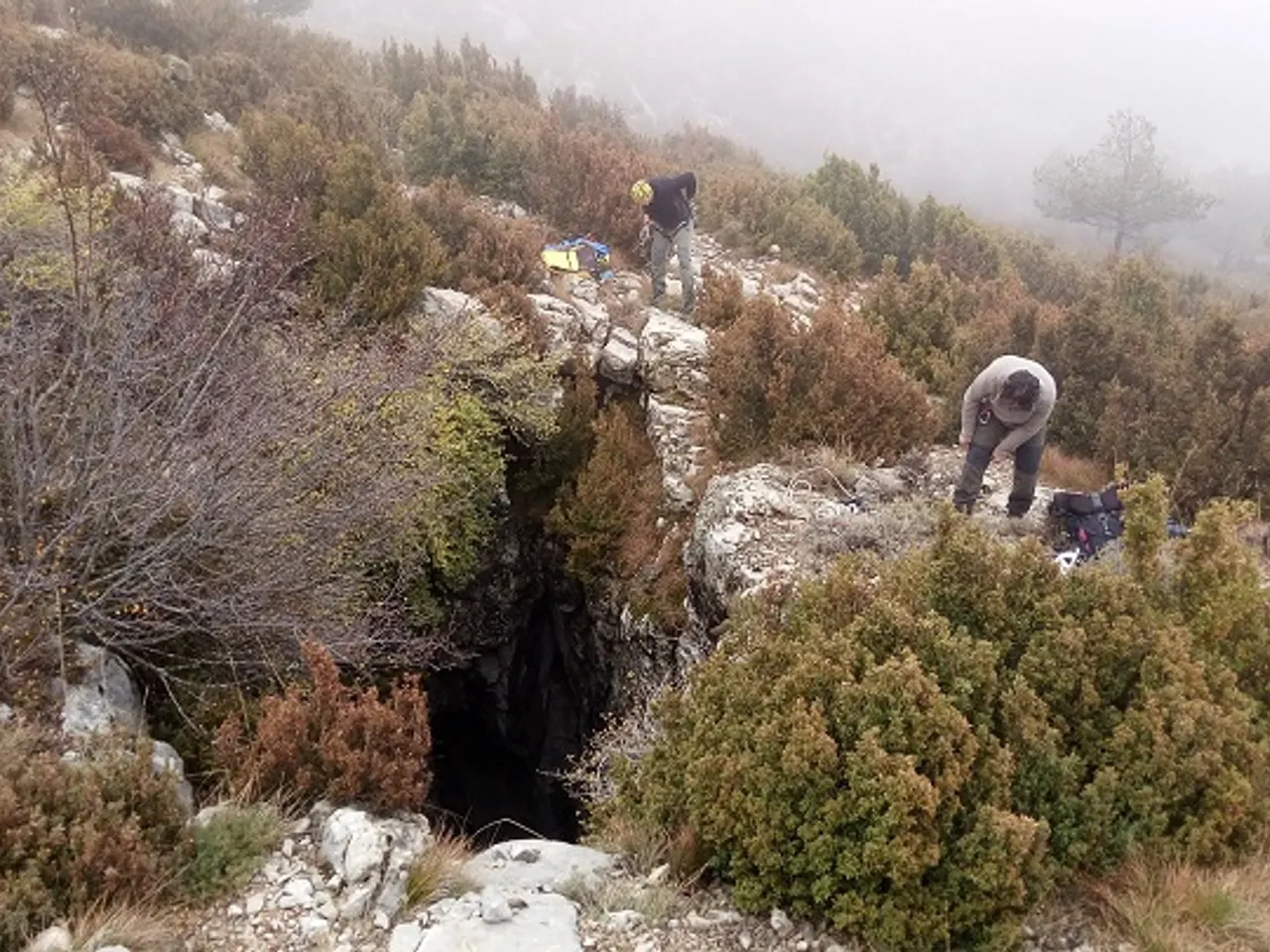 Photograph of GARGALLA, GRALLERA DE LA