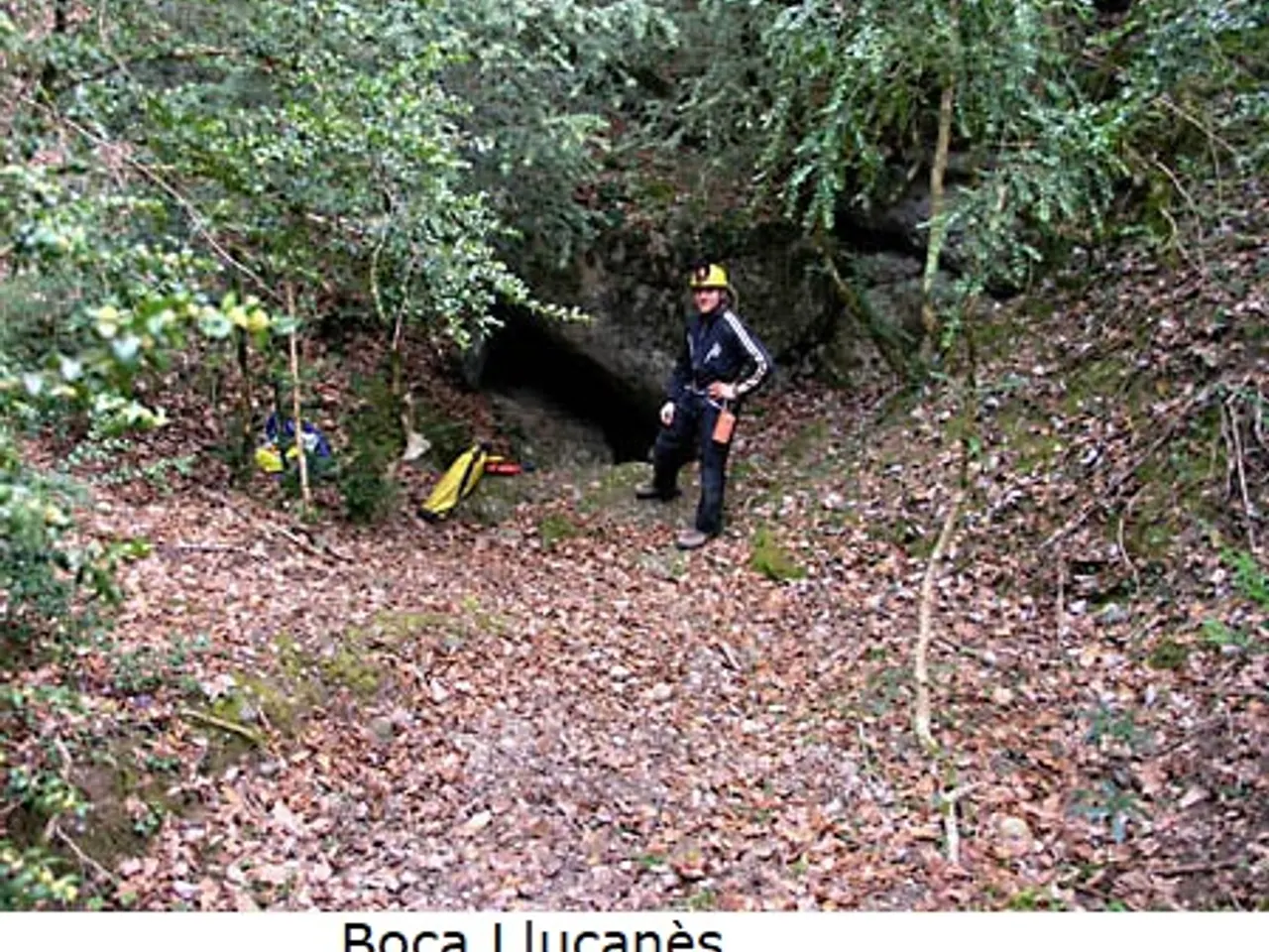 Fotografia de TRONASSA DE LA TOR, LA