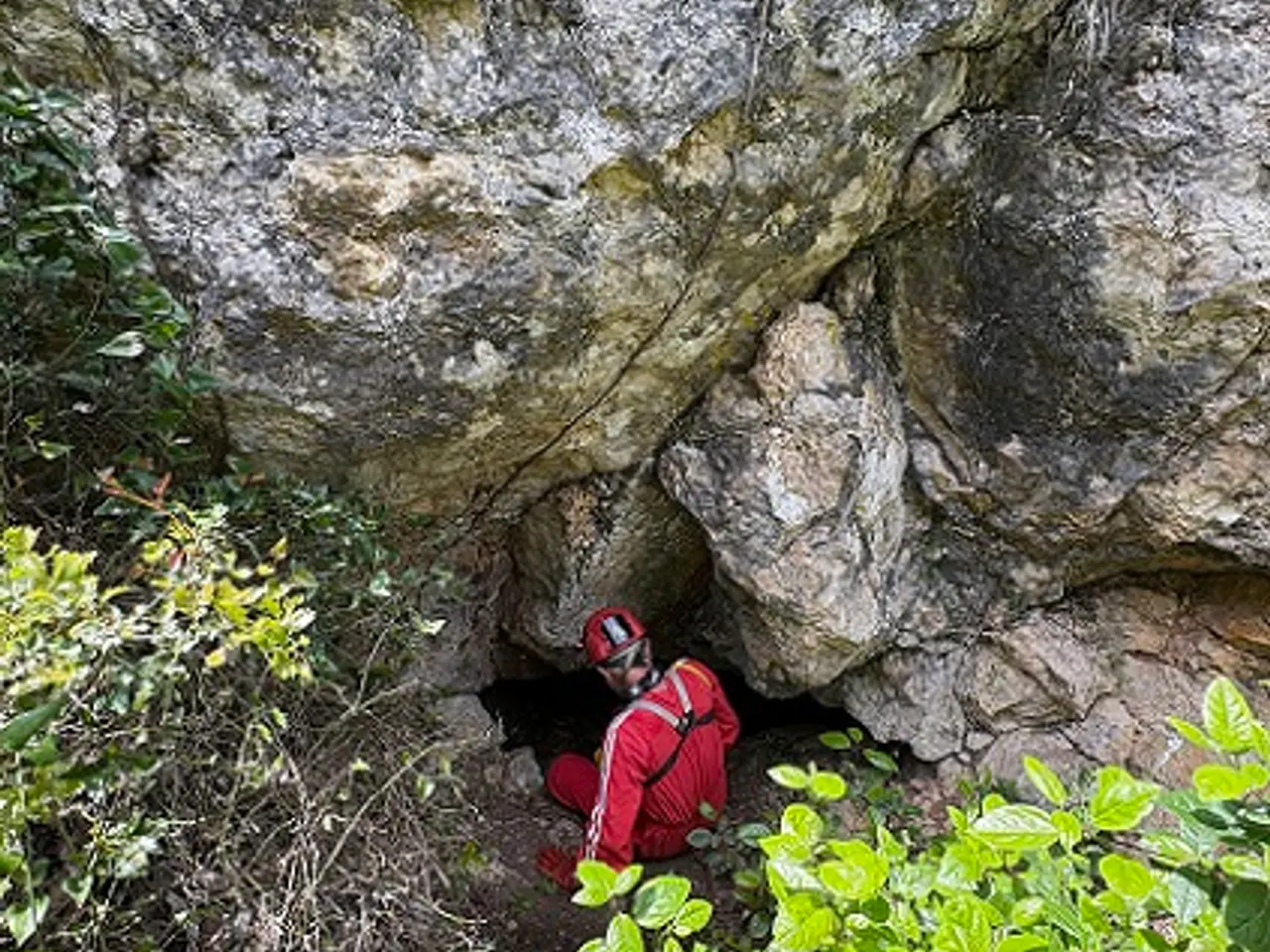 Photograph of QUATRE GATS, COVA DELS