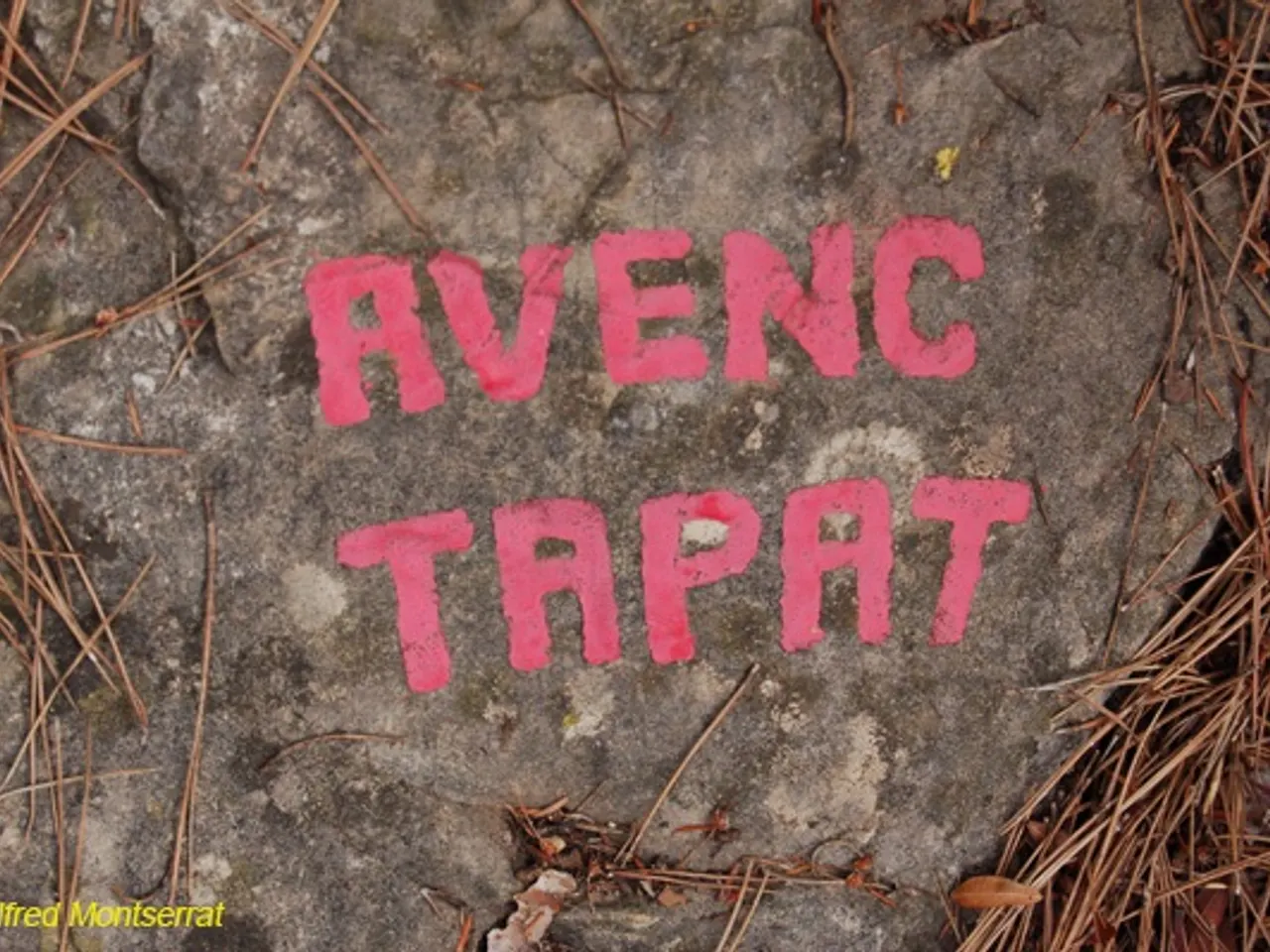 Photographie de TAPAT, AVENC