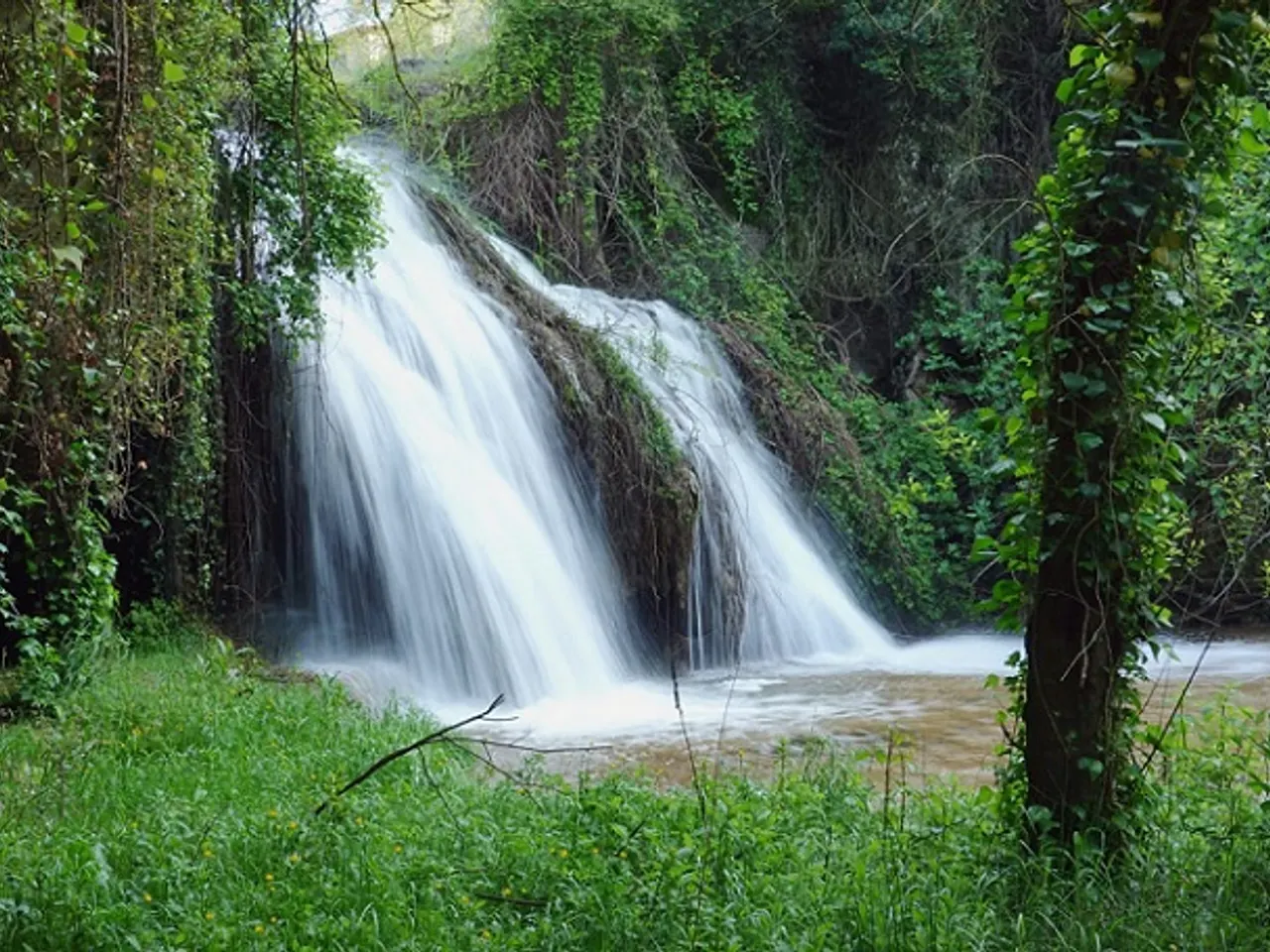 Fotografia de SALTANT, COVA DEL