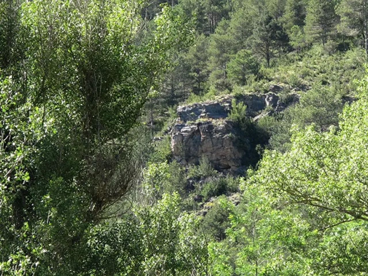 Fotografia de SANT MARTÍ DELS CASTELLS, BALMA DE