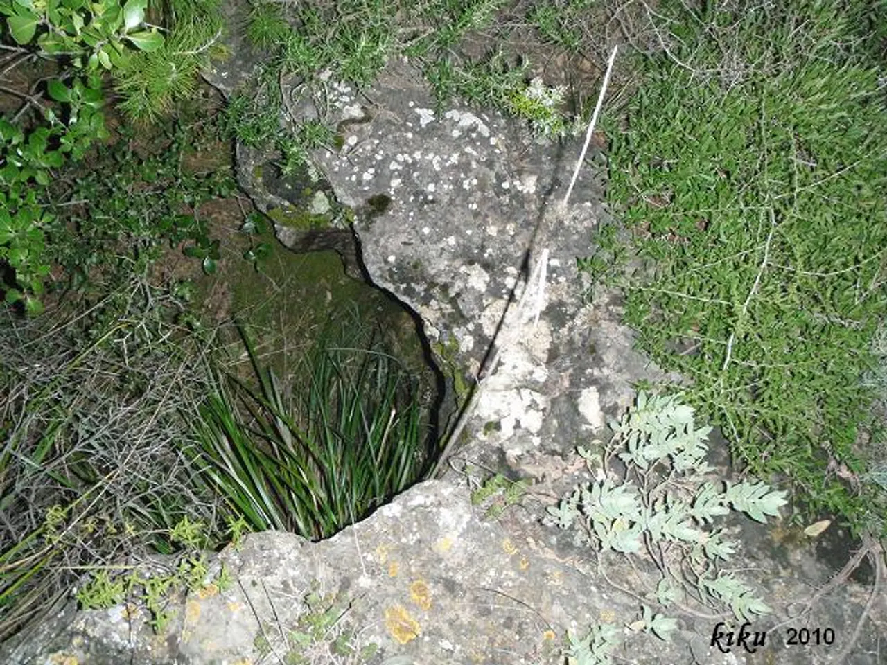 Photographie de FUS, AVENC DEL