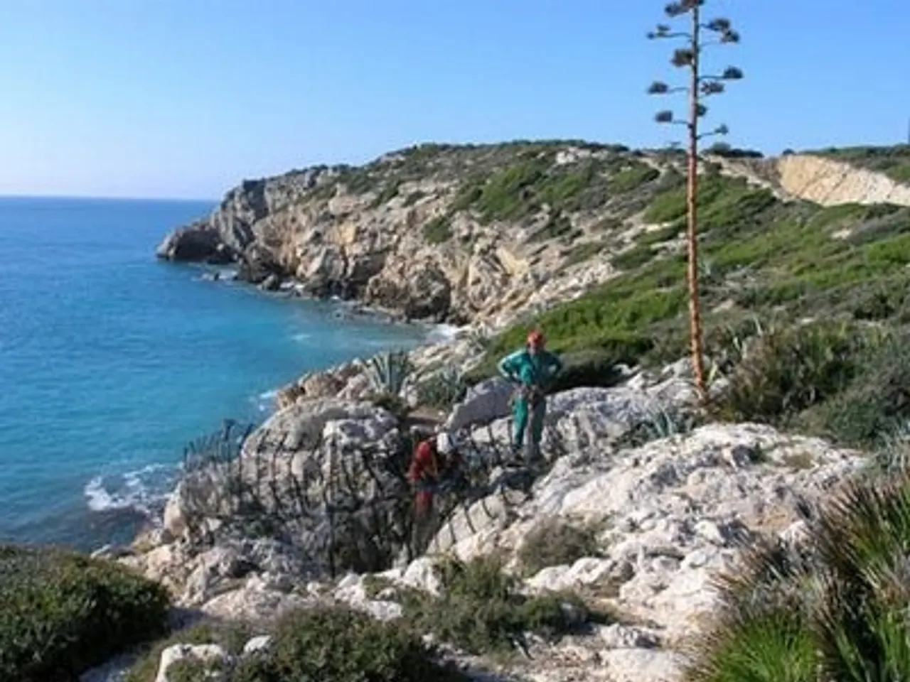 Photographie de GEGANT-LLARGA, COVA DEL