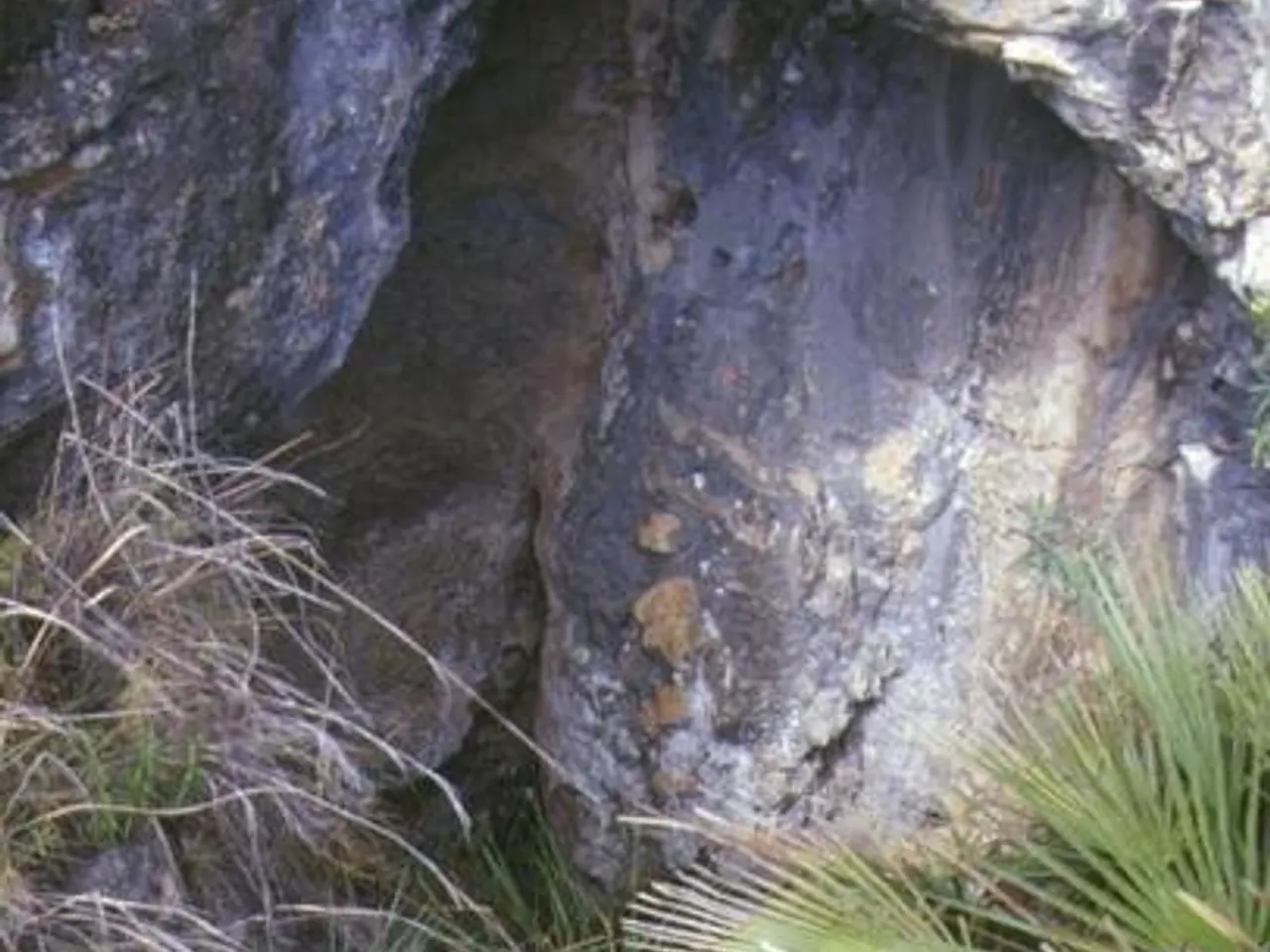 Fotografia de RUDA, FORAT DE LA