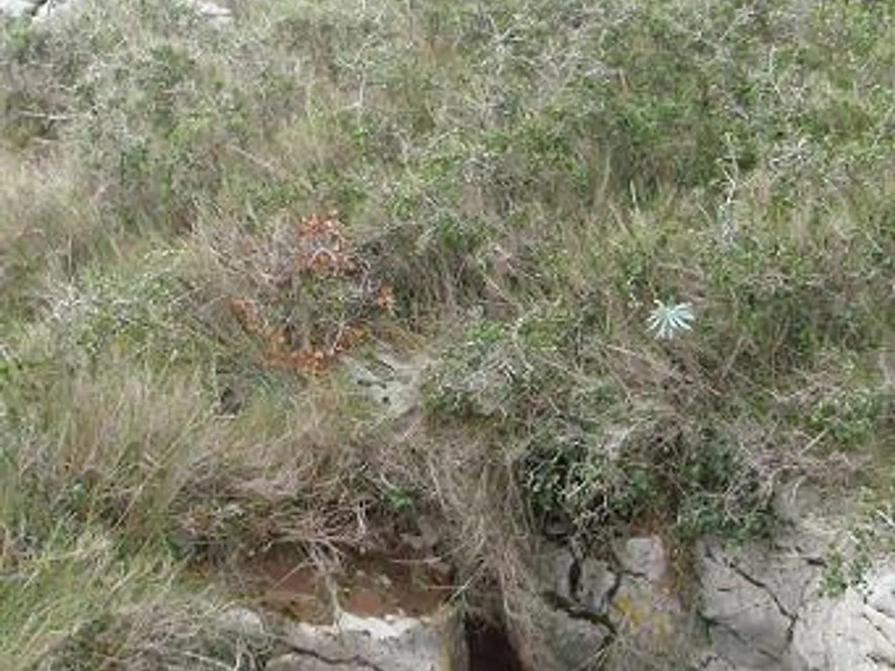 Photograph of TRES, AVENC DELS