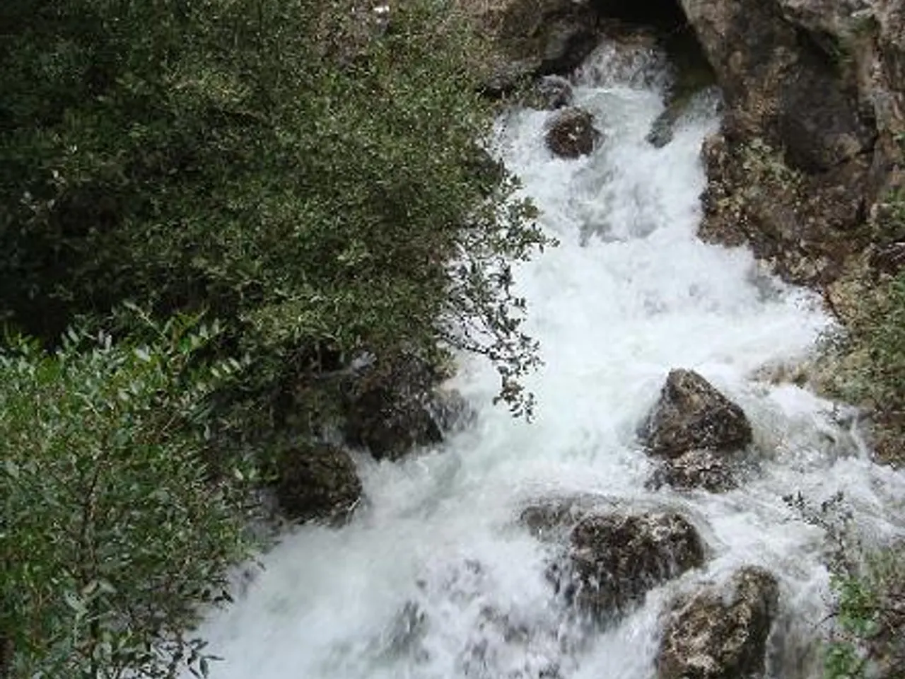 Photographie de FOU DE CAPÇANES, LA