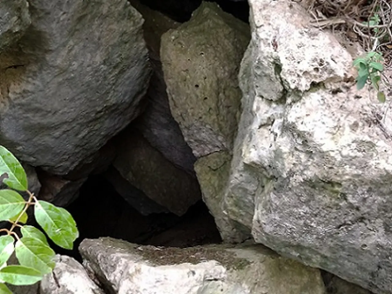 Fotografía de BLOCS, AVENC DELS