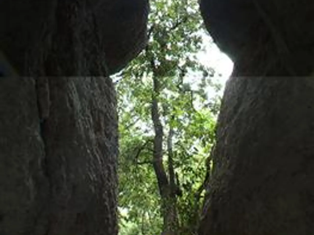 Fotografia de GUILLE, COVA DEL
