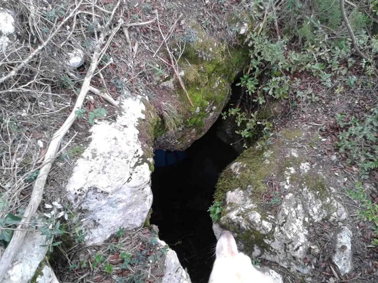 Photograph of GRAUS, FORAT DELS