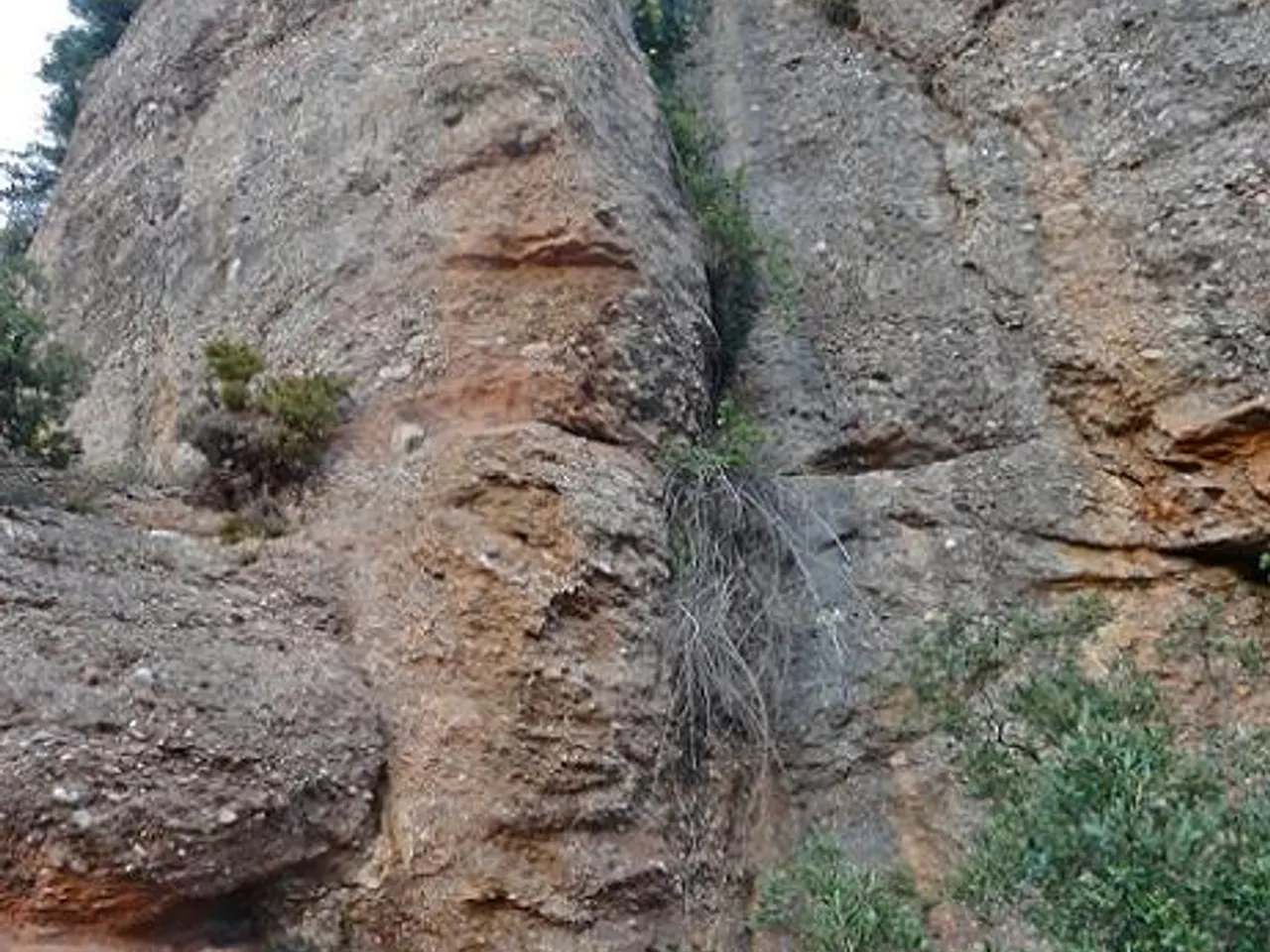 Photographie de GINESTERES, COVA DE LES