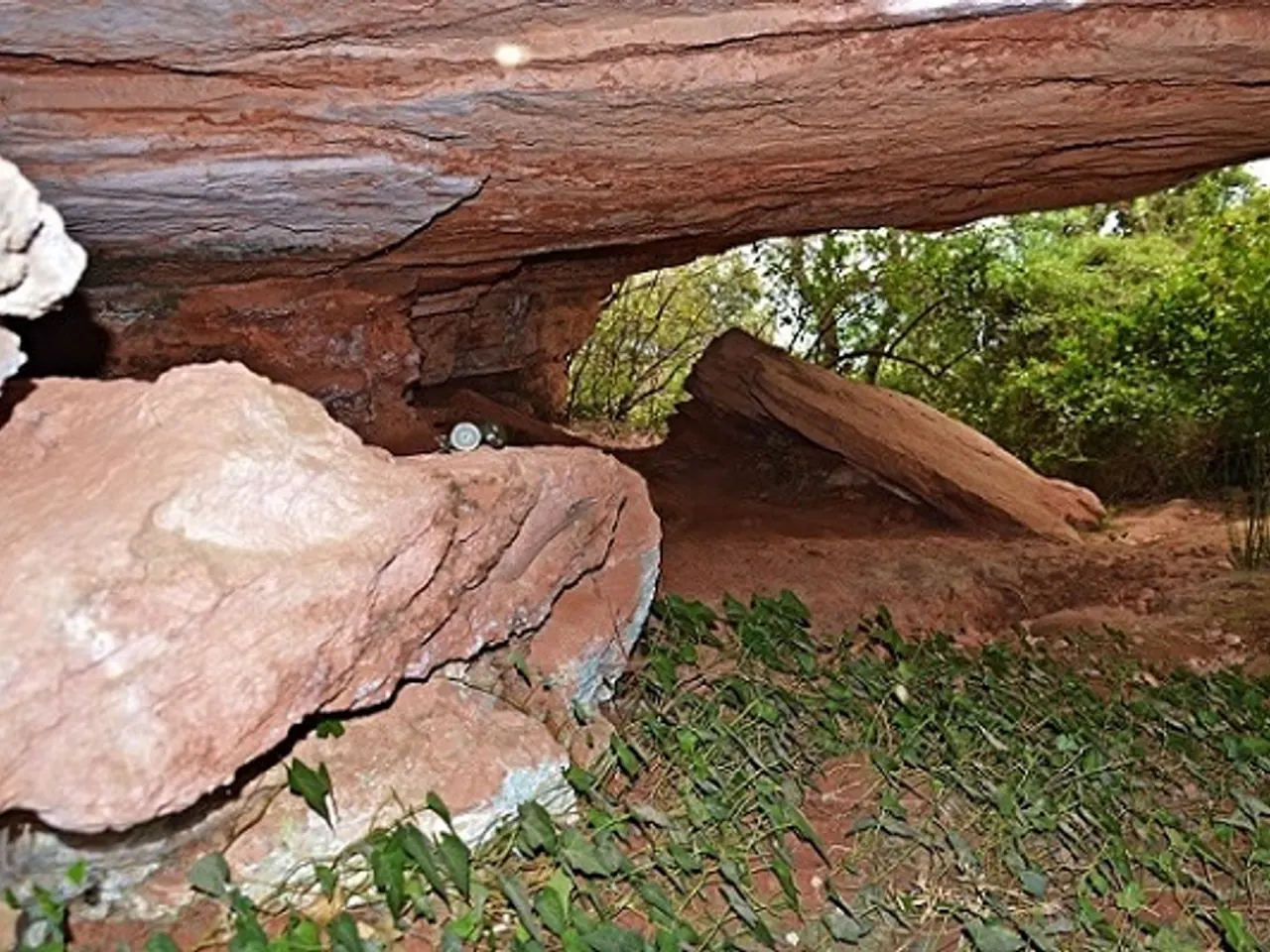 Fotografia de FONT DEL LLADRE, BALMA DE LA
