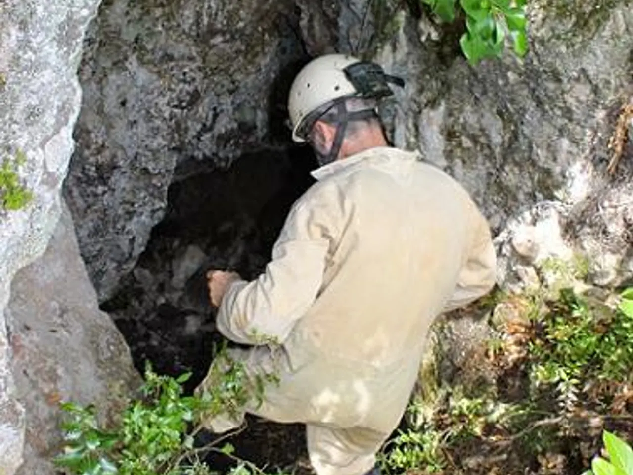 Fotografia de FOIX, AVENCÓ DE