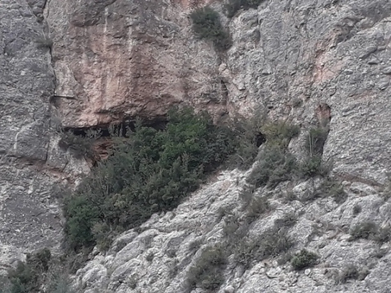 Fotografía de XACÓ, COVA FÒSSIL Nº3 DEL