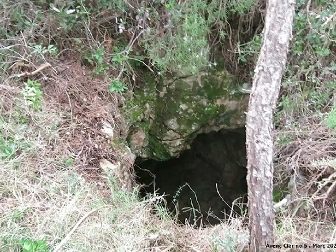 Fotografía de CLAR Nº 5, AVENCÓ