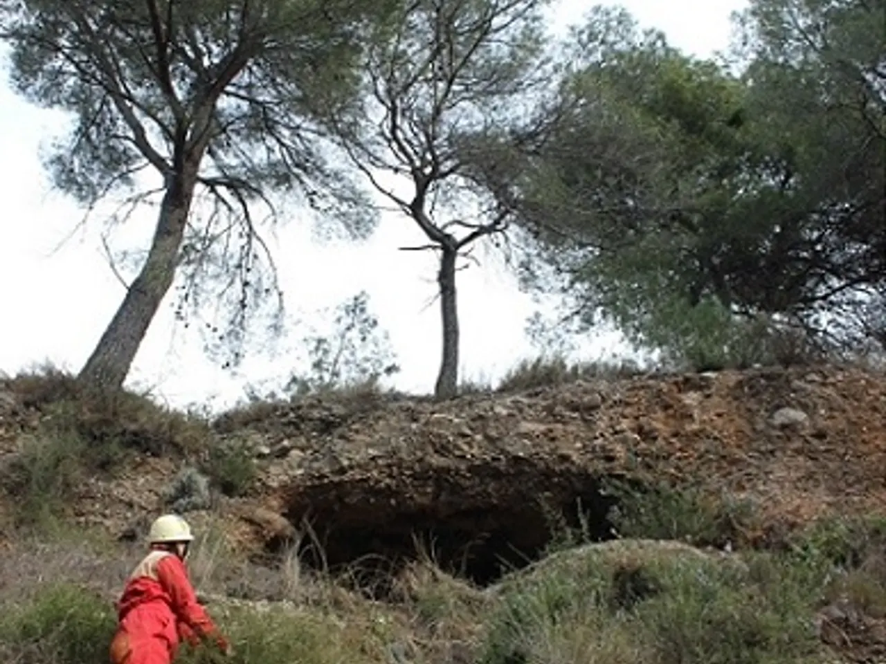 Fotografia de TORRE TURULL, COVETA Nº2 DE LA