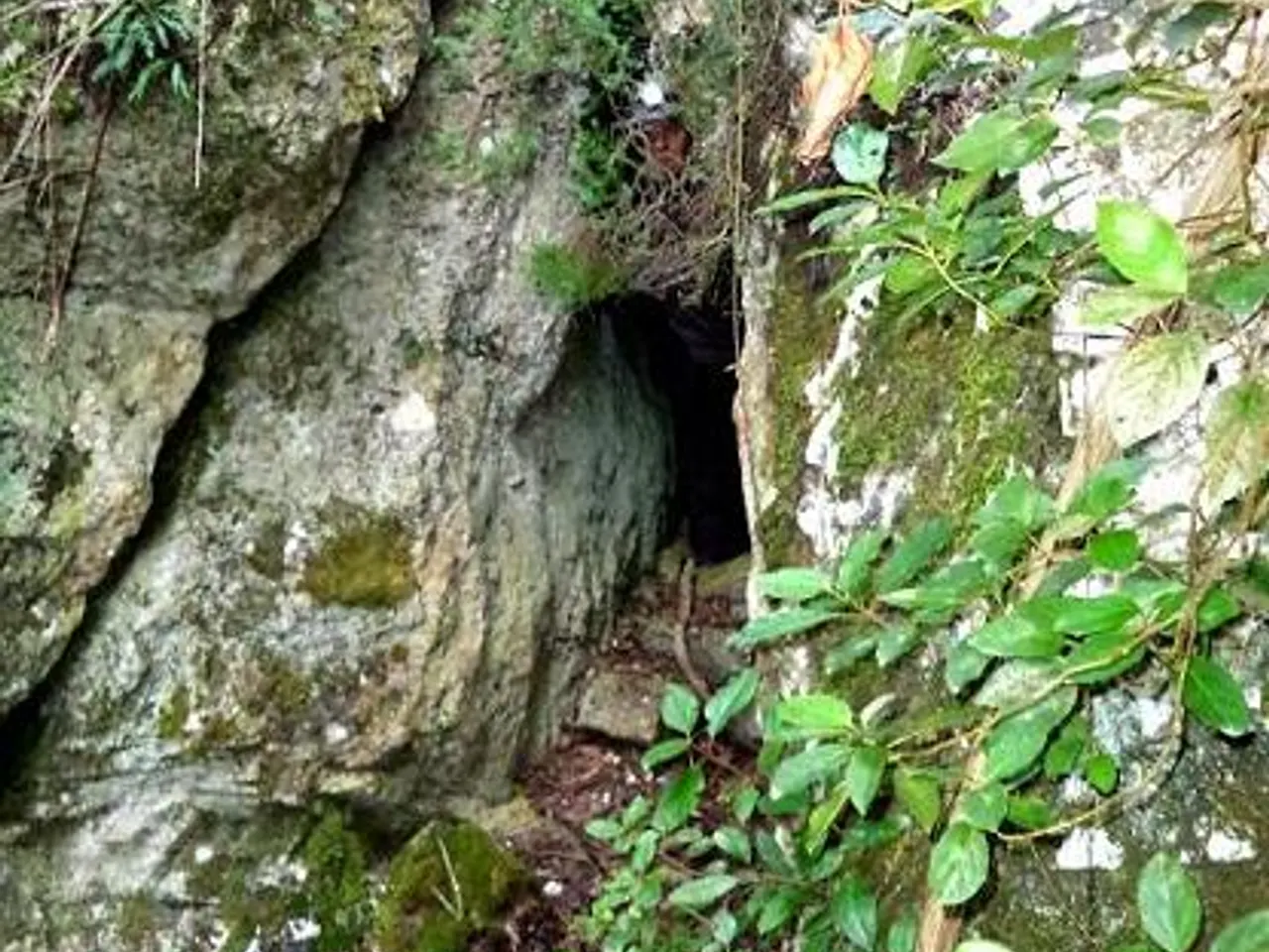 Fotografia de DOU, COVA DE LA