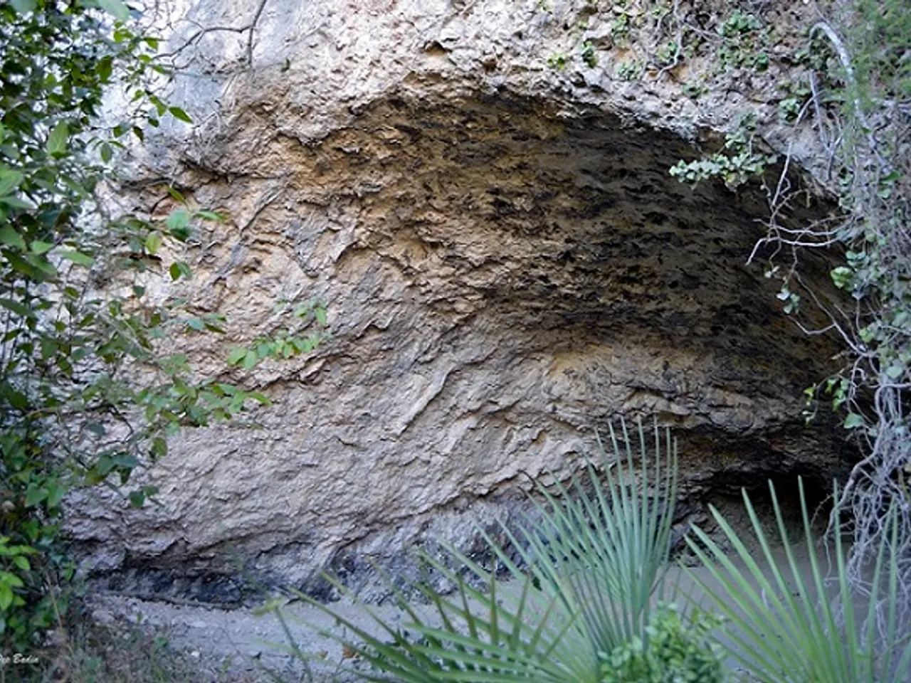 Fotografia de ANDARA, COVA D'