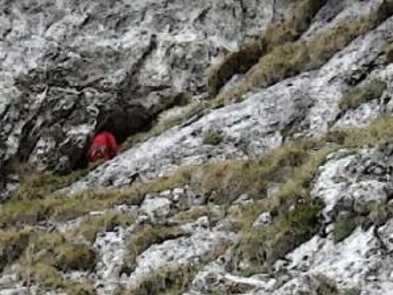 Fotografia de CARABASSER, GRALLERA DEL