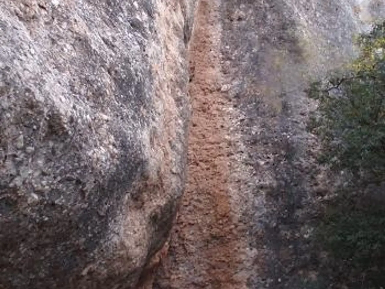 Fotografia de CANAL DEL SOLITARI, COVA DE LA