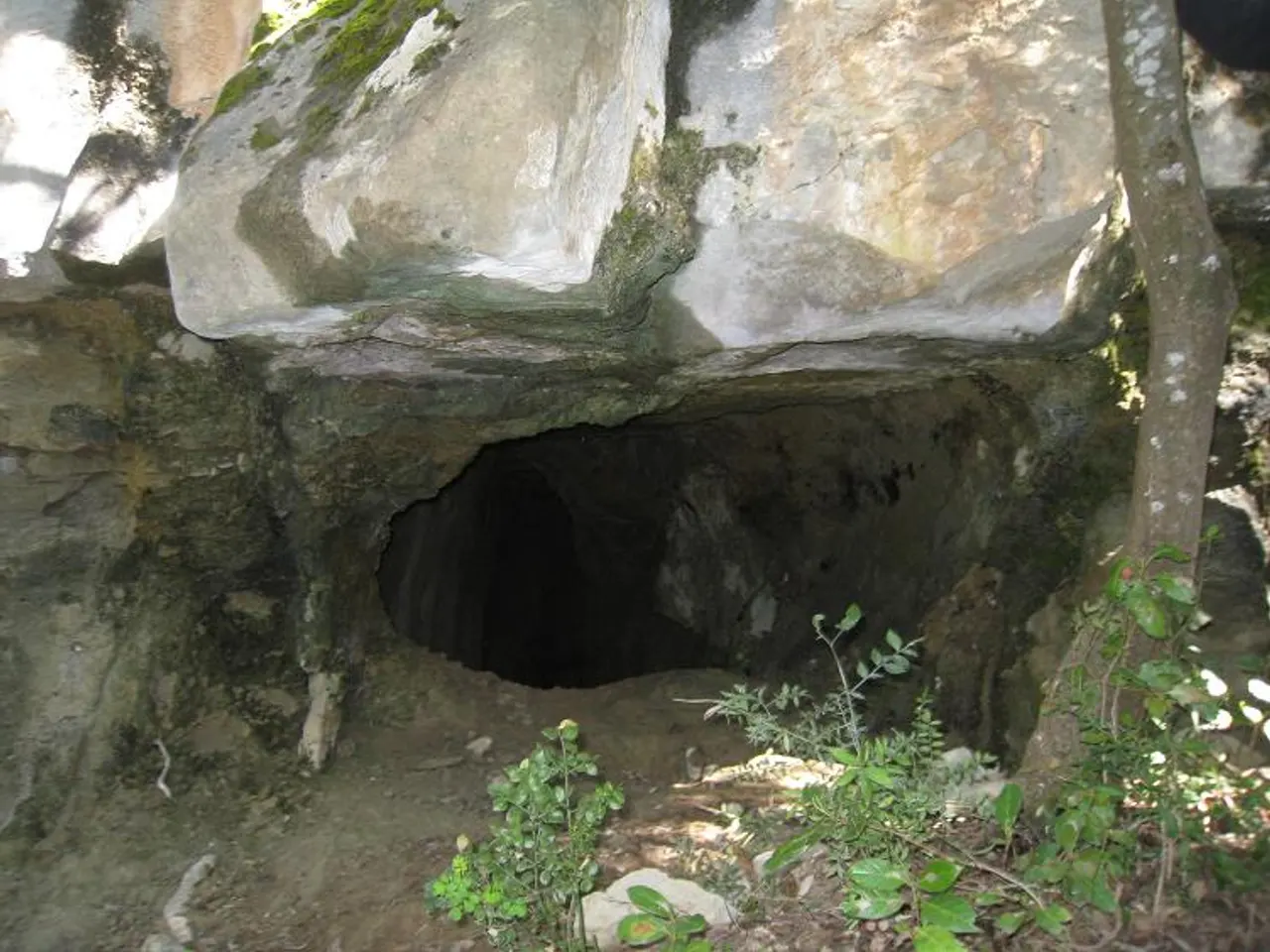 Fotografía de CARLINS, COVA DELS