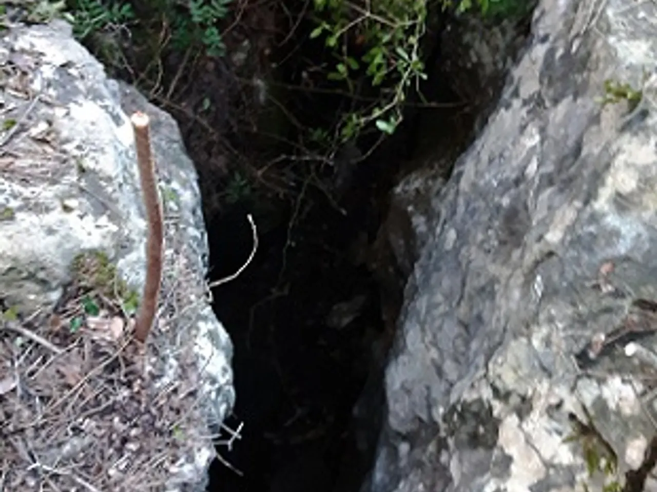 Fotografia de SERRA DEL MAS, COVA SM-14 DE LA