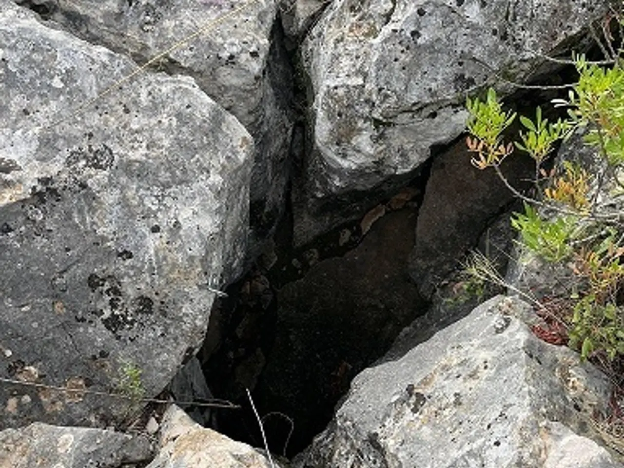 Photographie de CAMÍ DEL RÒSSEC, AVENC DEL