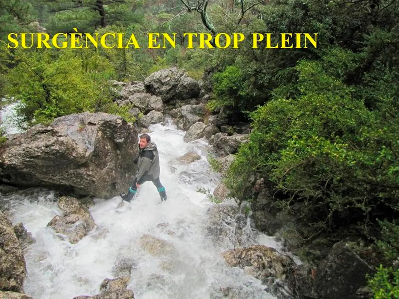 Fotografia de ENTRONADOR, L'