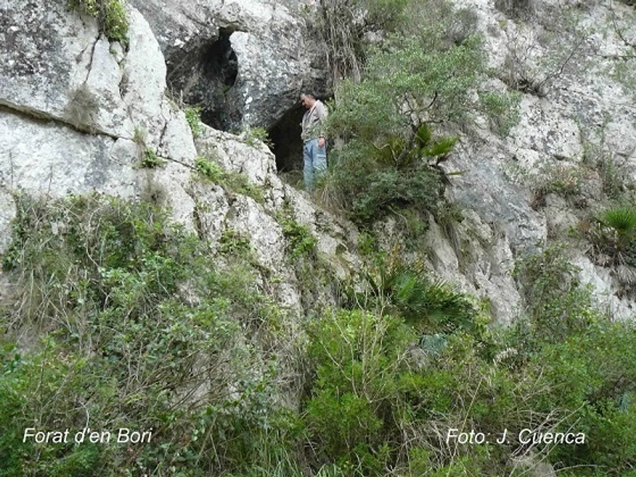 Photograph of BORI, FORATS D'EN