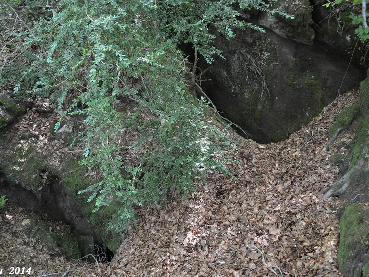 Photograph of CAN ROCA ROJA Nº2, AVENC DE