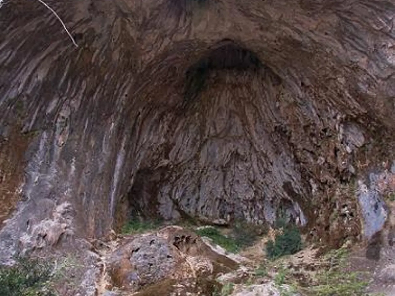 Fotografia de GRALLES, COVA DE LES