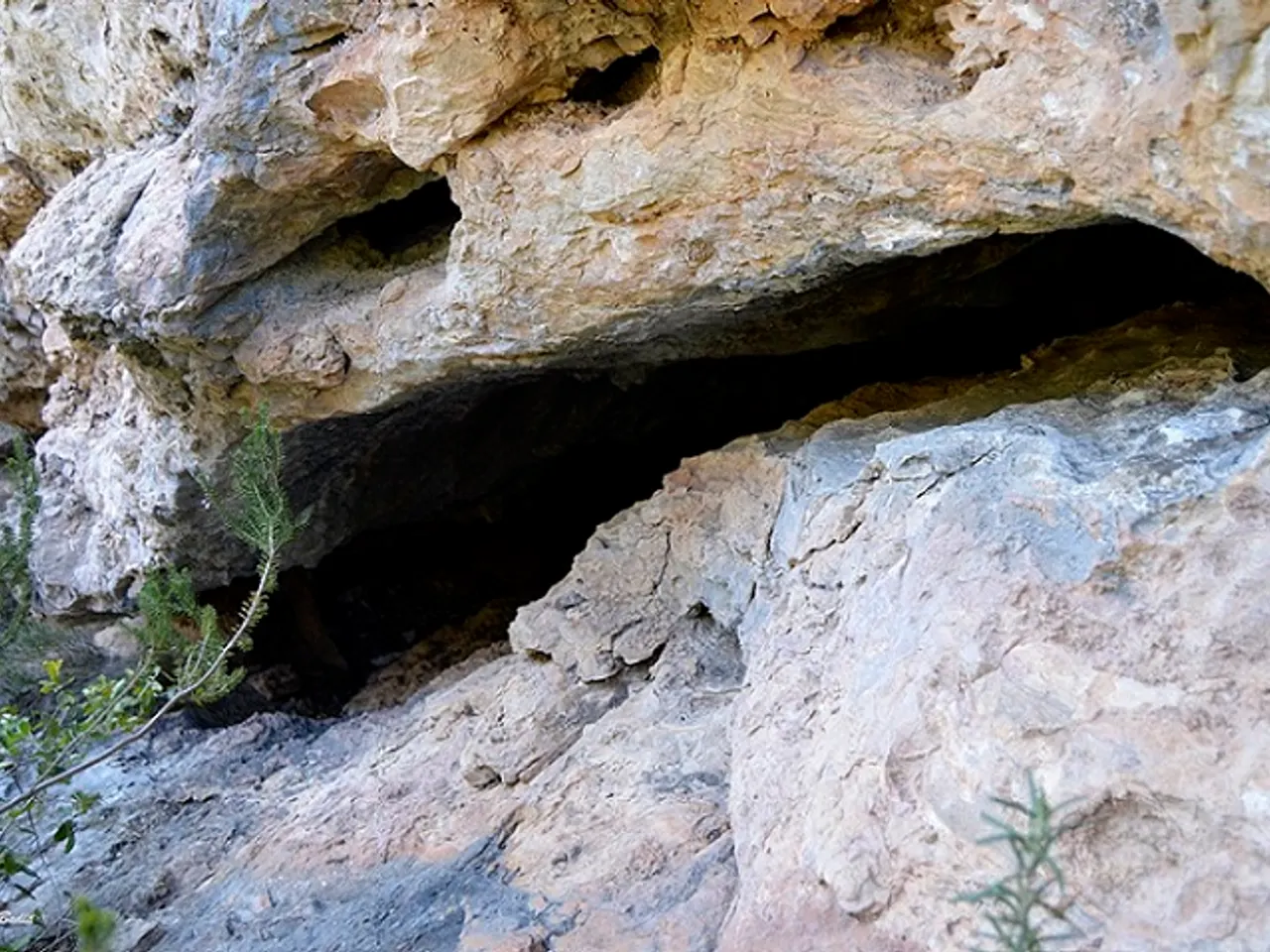 Fotografia de BRUTO, COVA DEL