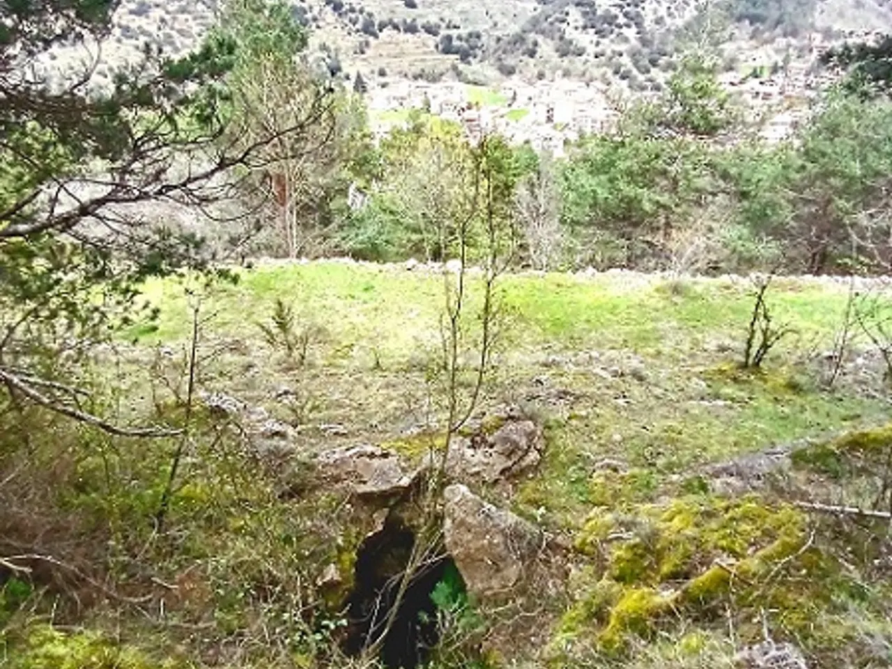 Photographie de PUIG, FORAT DEL