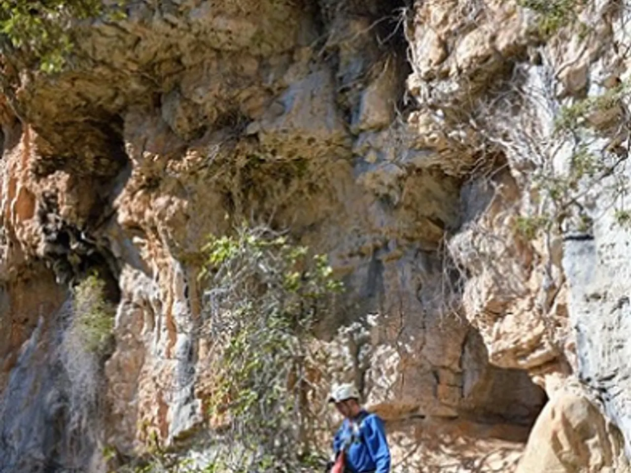 Fotografia de RAMER, COVA DEL